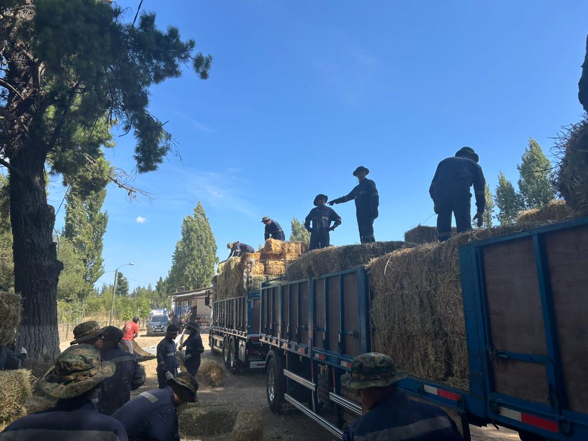 Ejército de Chile tweet media