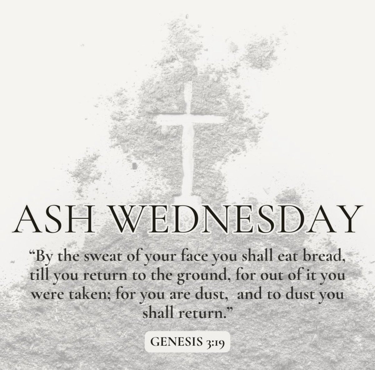 Rep. Elise Stefanik tweet media