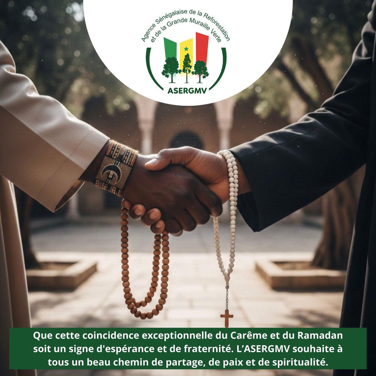 ASERGMV_Reforestation tweet media