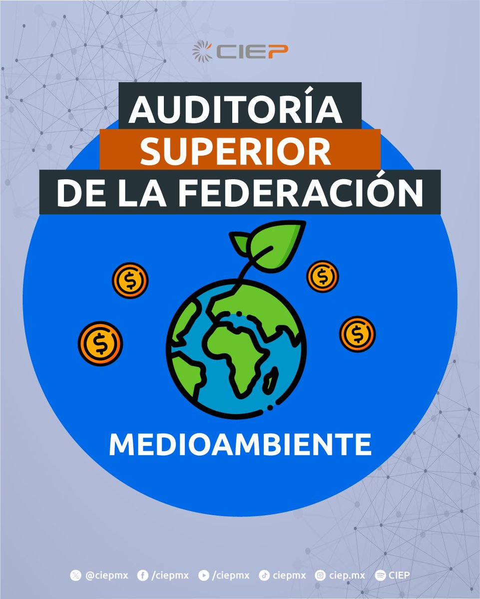 CIEP, A.C. tweet media