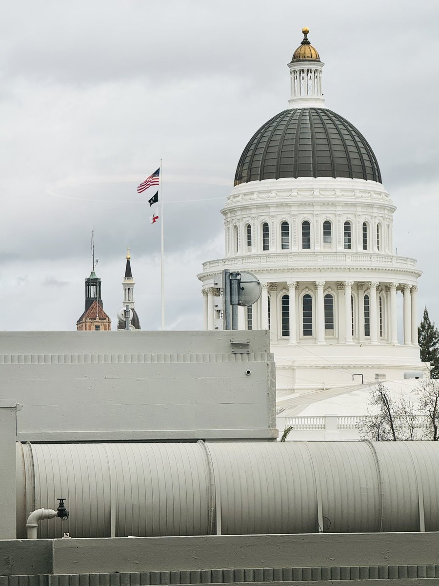 Child Development Resources tweet media