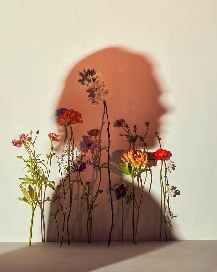 literland tweet media