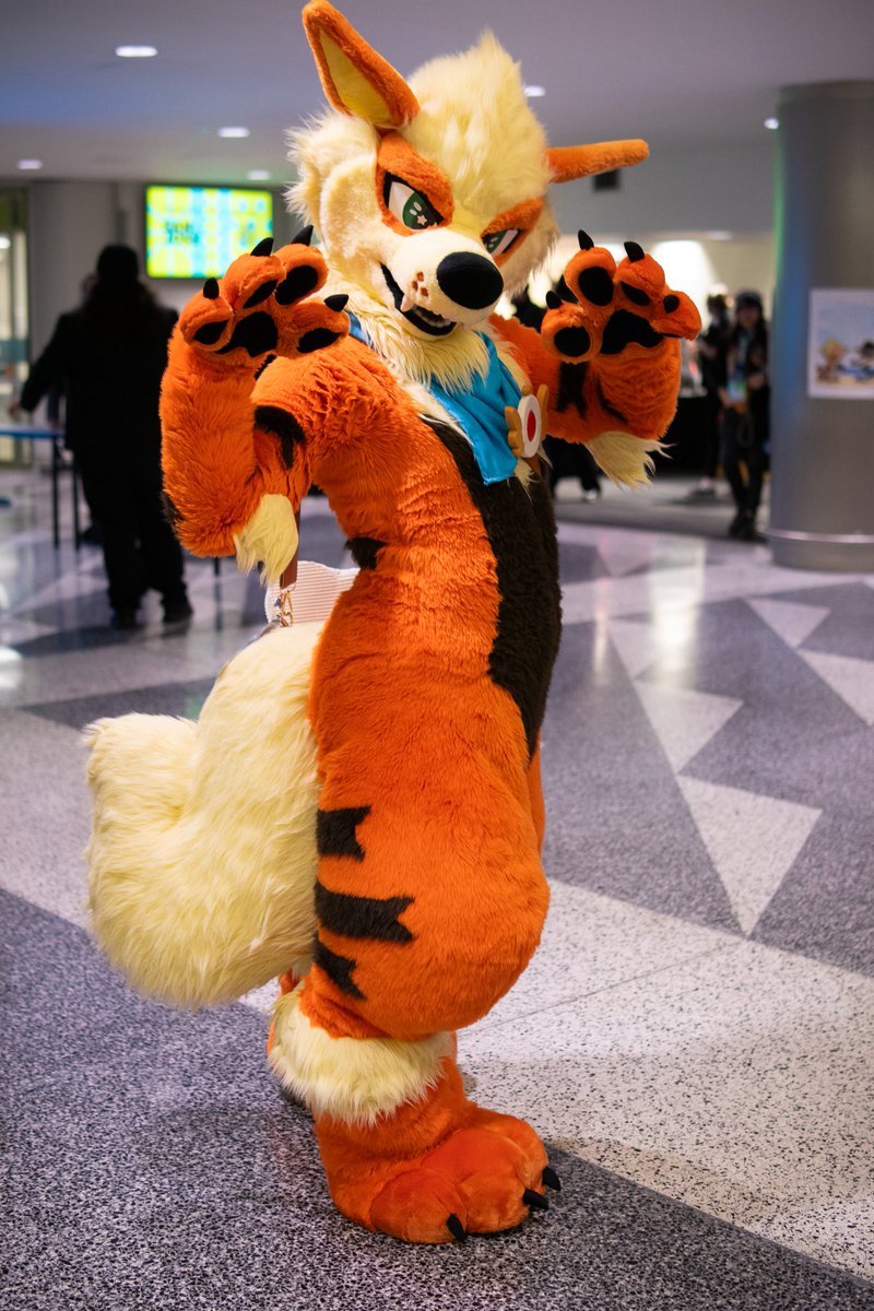 dogbutwithfire's tweet image. rawrs at you 🐯