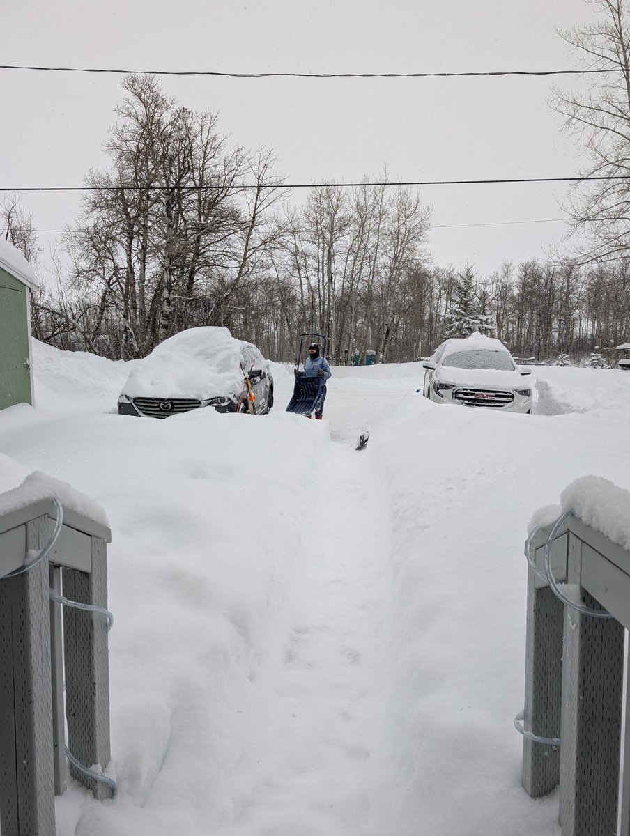 McNameeJason's tweet photo. About a foot of snow and still falling at Fishing Lake, SK.

#SKStorm #SaskatchewanStorm https://t.co/j7pRrc4WBz