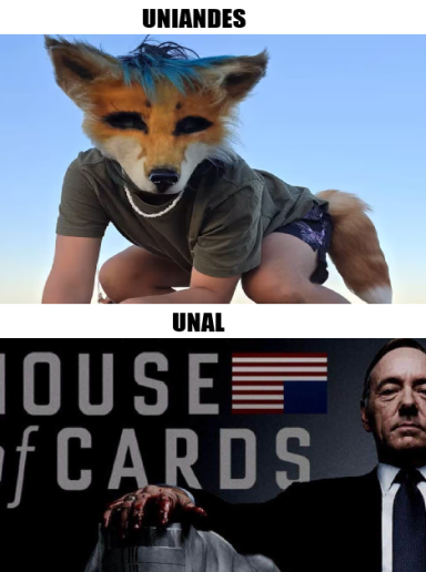 nacional_memes's tweet photo. La trama de UniAndes / la subtrama de la UNAL  🐶 https://t.co/JzuwgsKrSG