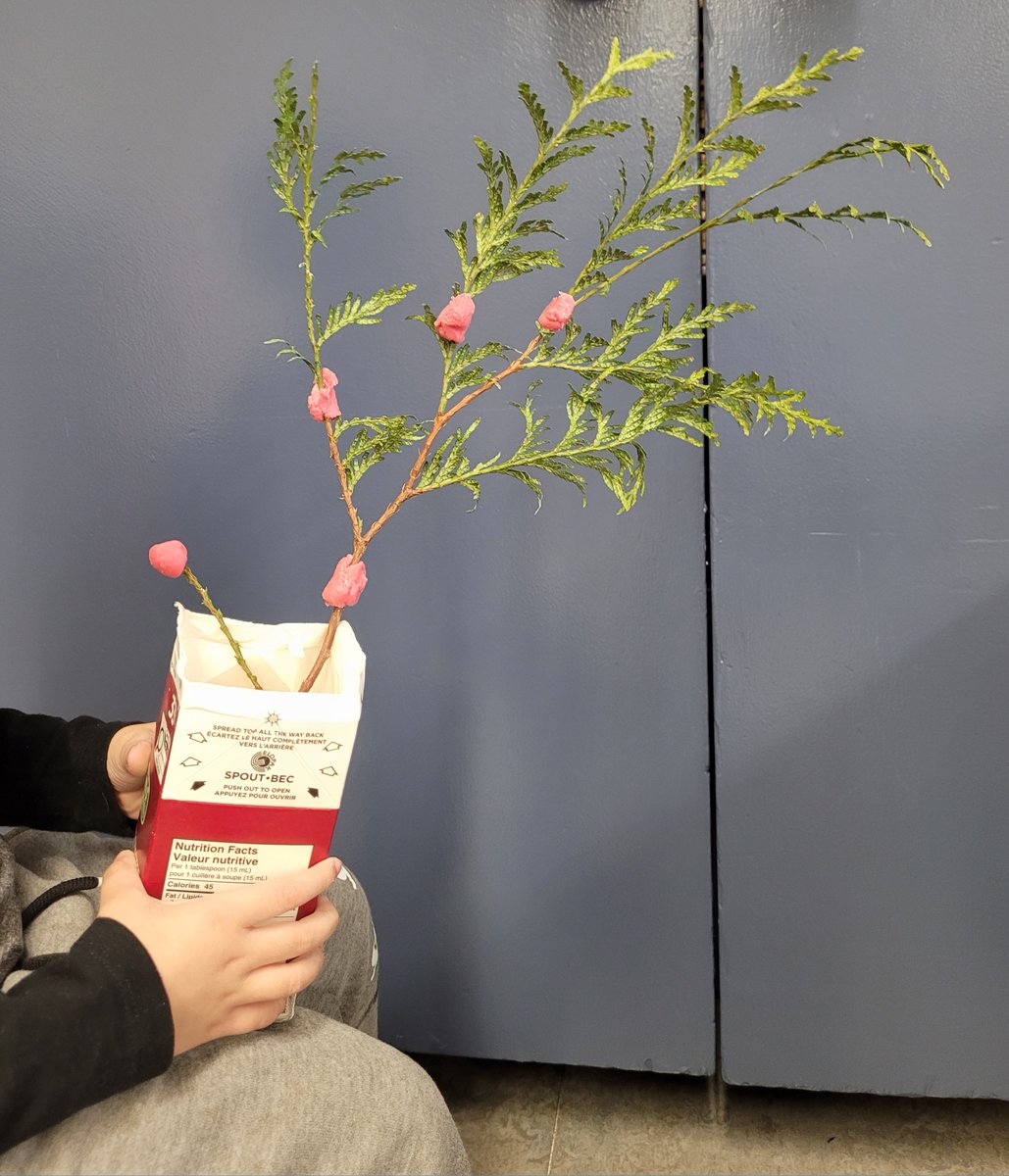 Richmond School District Early Learning tweet media