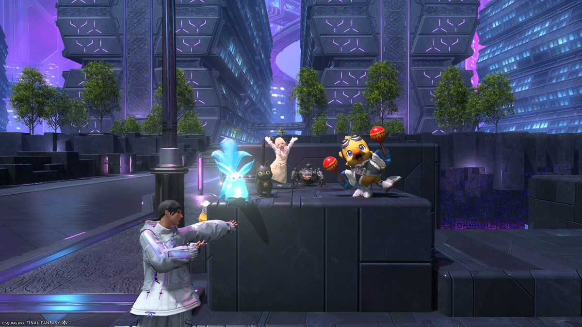 Foi 🐰✨ tweet media