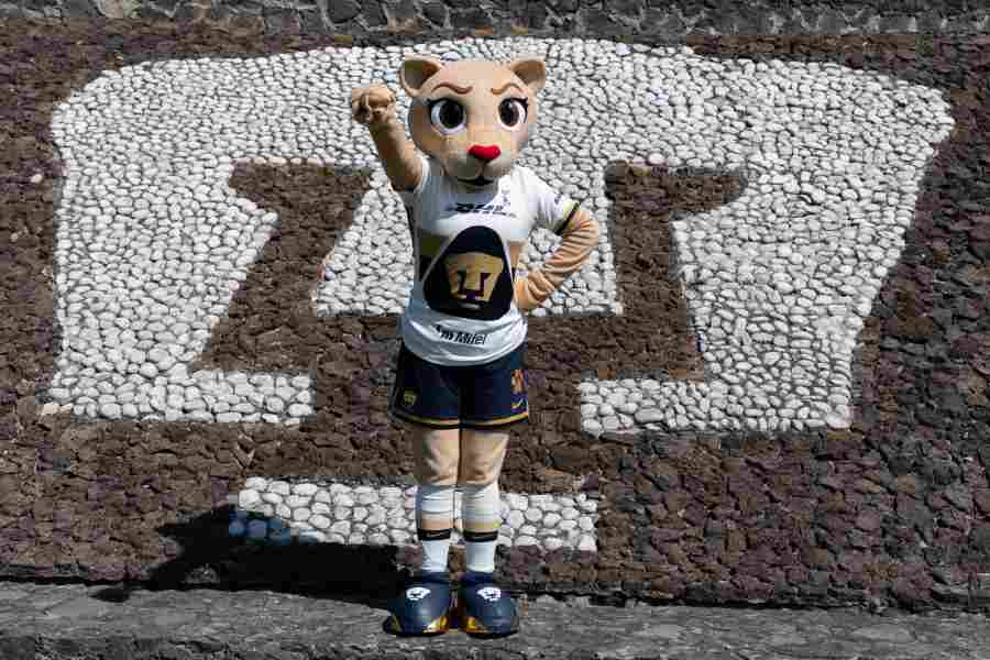 Gaceta UNAM tweet media