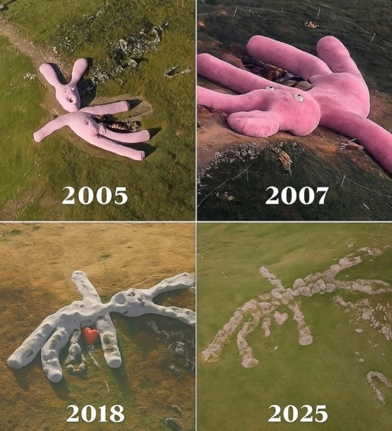 NeomMV's tweet photo. After more than 20 years have passed, this is how the giant pink rabbit known as Hase (or Giant Pink Rabbit / Pink Bunny) looks today.

It is a massive artwork created by the Austrian art collective gelitin in 2005 as part of an open art project in nature in Italy.

The rabbit was made from waterproof, biodegradable pink velour fabric and stuffed with straw with the help of Italian craftswomen. Its hand-sewing took a full 5 years to complete.

It was then transported by helicopter and placed in its final location on the top of Colletto Fava hill near the village of Artesina in the Piedmont region of northern Italy, at an altitude of approximately 1,500 meters above sea level.

The rabbit measured about 60 meters in length and around 6 meters in height, making it clearly visible even in satellite images for a period of time. It was designed to look like a giant stuffed toy that had fallen from the sky and landed on the mountain.

The project was temporary by nature, planned to gradually decompose due to natural elements until 2025. Indeed, it deteriorated noticeably over the years (by 2016 its structure had significantly collapsed) and today, only barely visible traces remain of it.
🙁