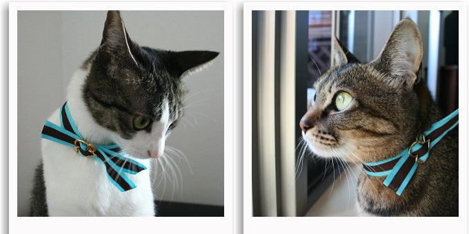 Post by にゃぱねっと♂ on X: チョコミントの日