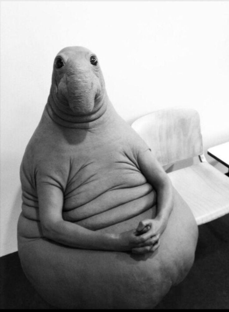 I cant tell if my art is bad or if it just gets lost in algorithm