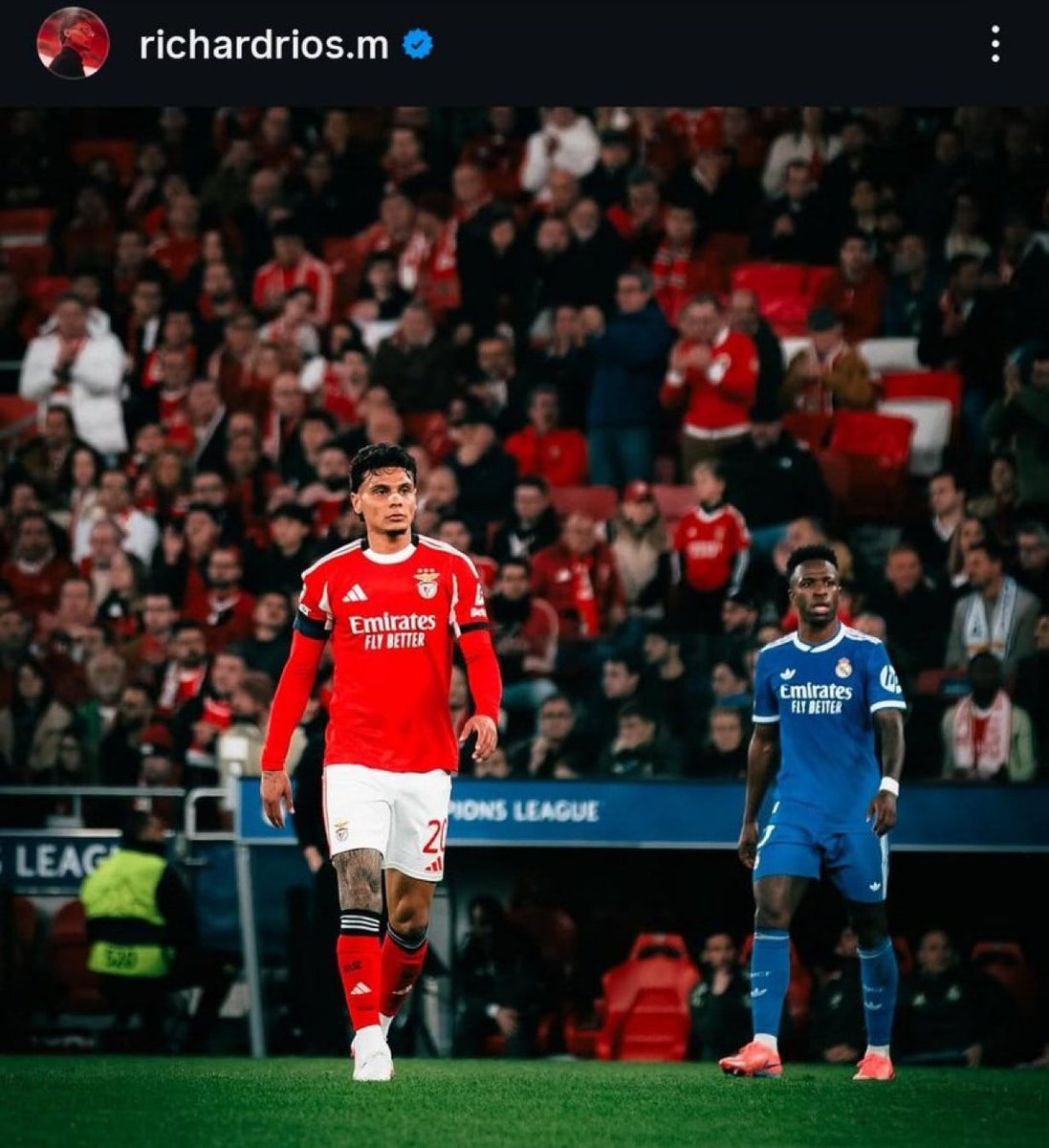 (fan) Marito 🐢 tweet media