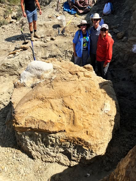 Dakota Prairie Grasslands tweet media