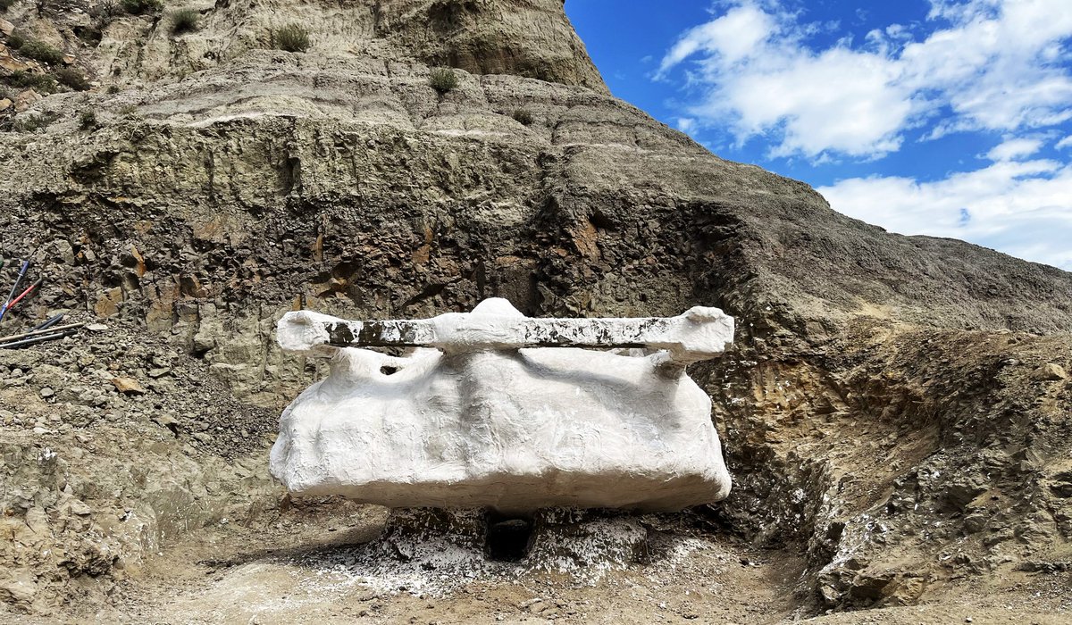 Dakota Prairie Grasslands tweet media