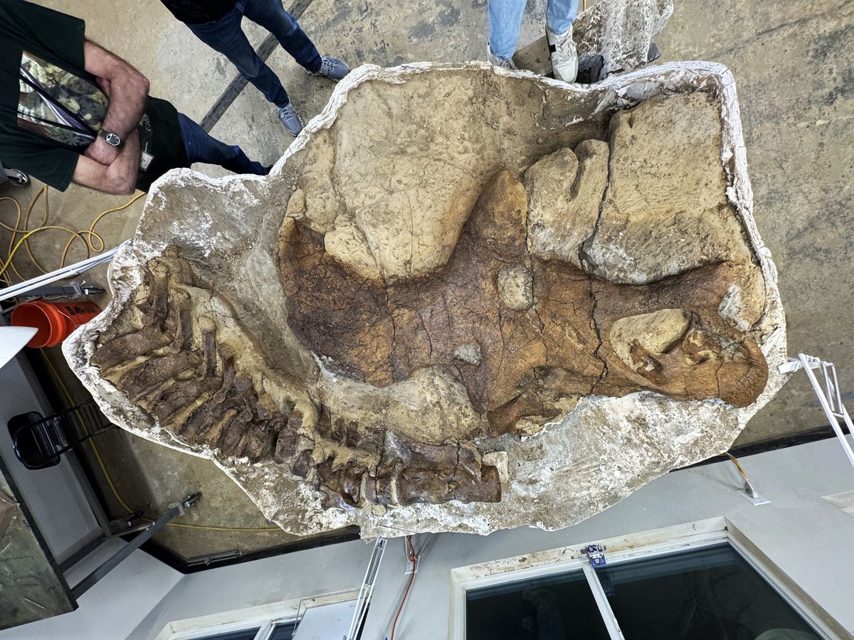 Dakota Prairie Grasslands tweet media