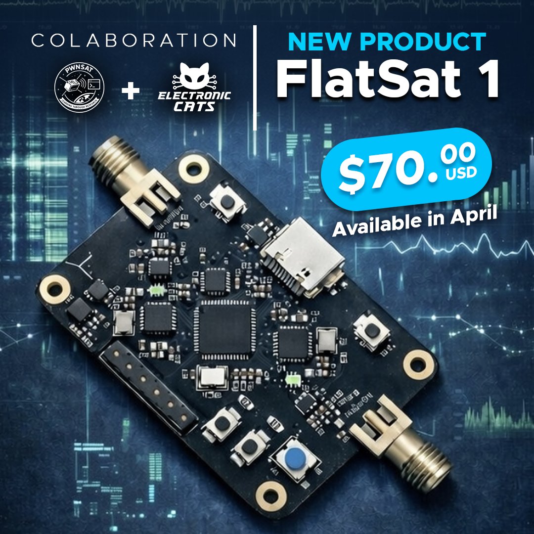 Electronic Cats tweet media