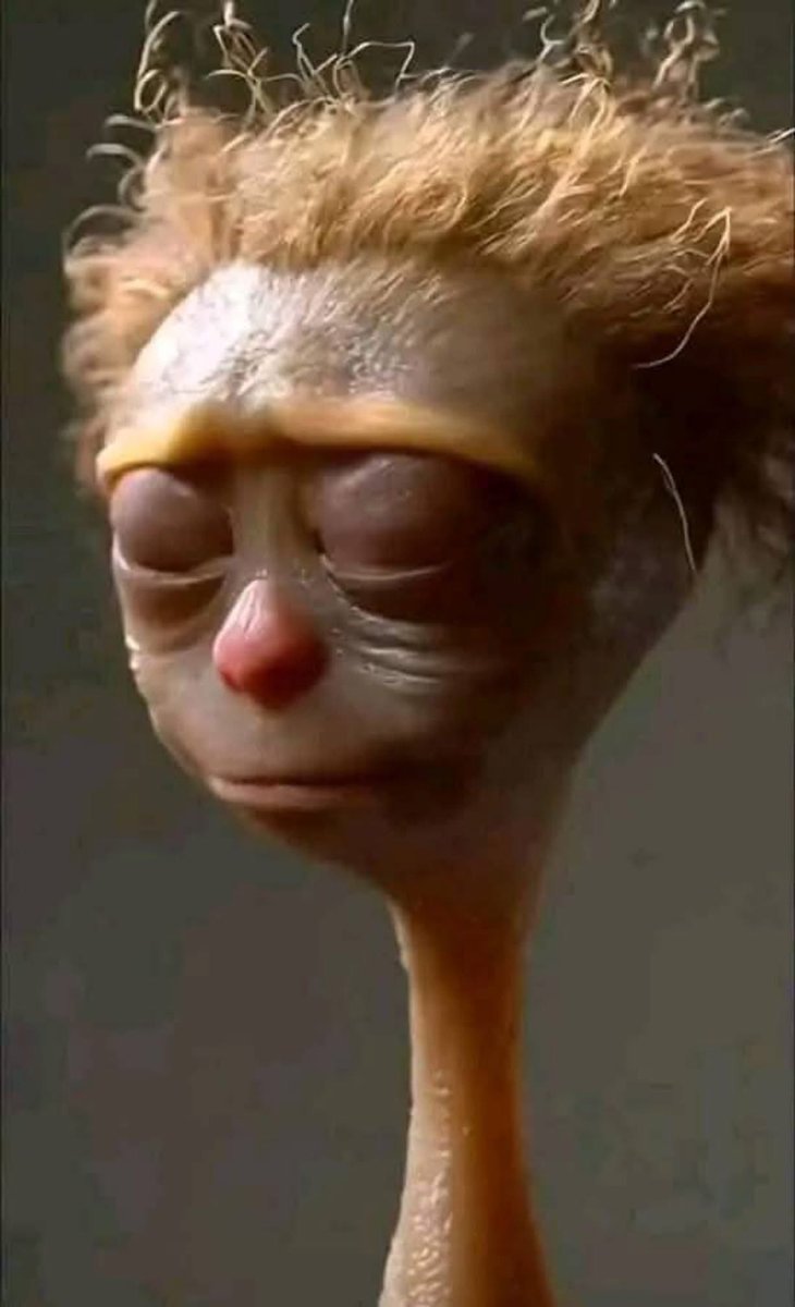 Wicked Nigerian woman ọ si mụ Feminist.