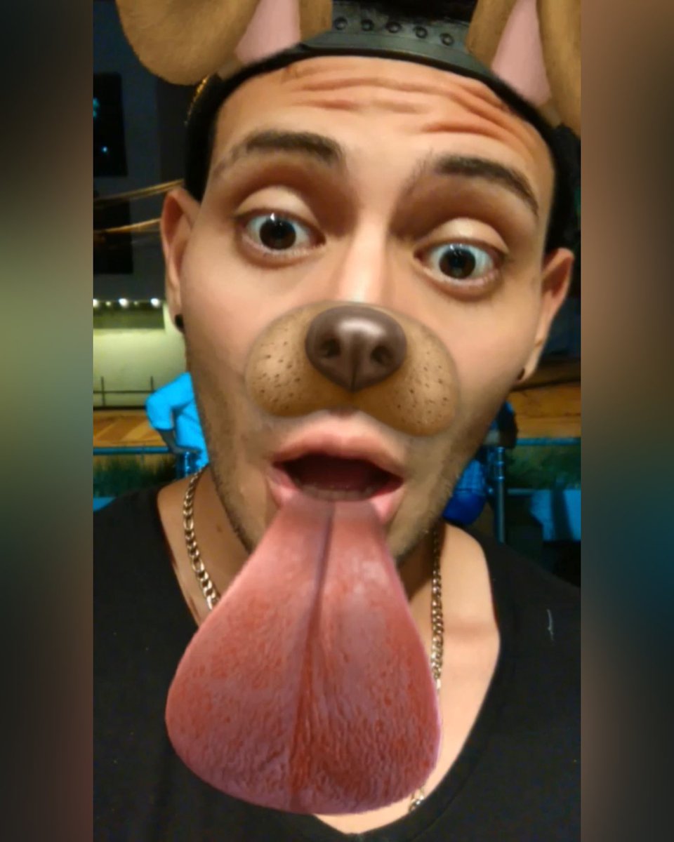 Soyrobertouribe's tweet photo. Yo burlándome de los Therian por creerse perros…
𝐘𝐎 𝐄𝐍 𝐄𝐋 𝟐𝟎𝟏𝟔: https://t.co/viKDFlUzRD