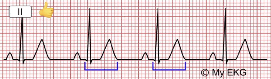 OrcaMed🔲 tweet media