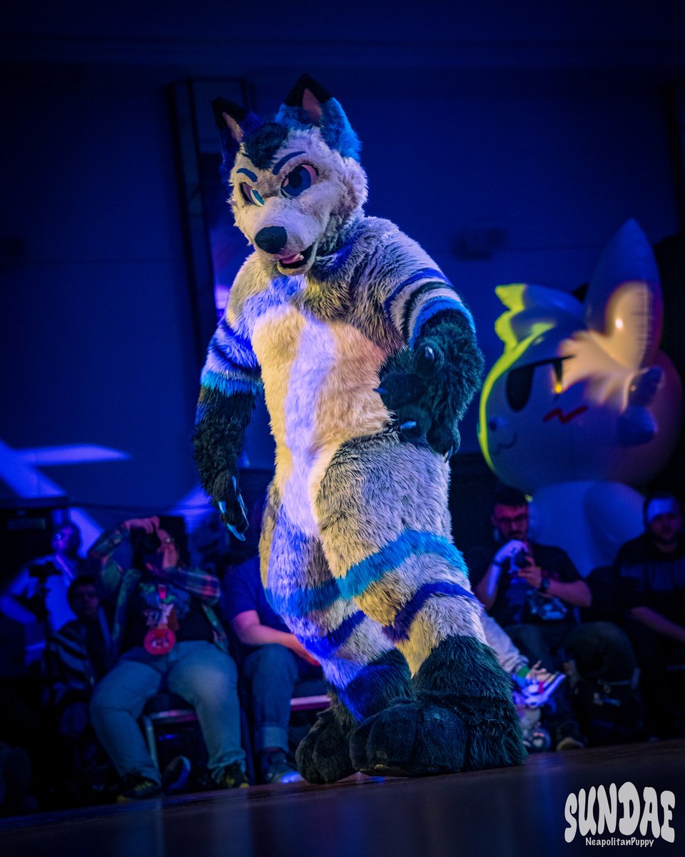 Cyndidinnimon Roll 🔜 AC tweet media