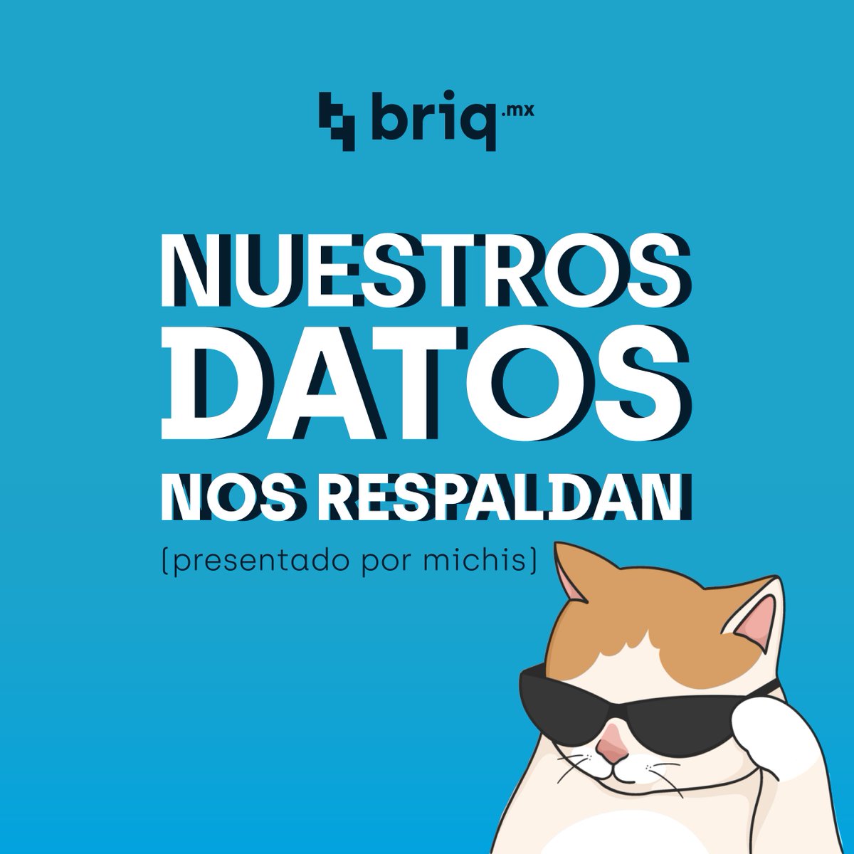 briq.mx tweet media