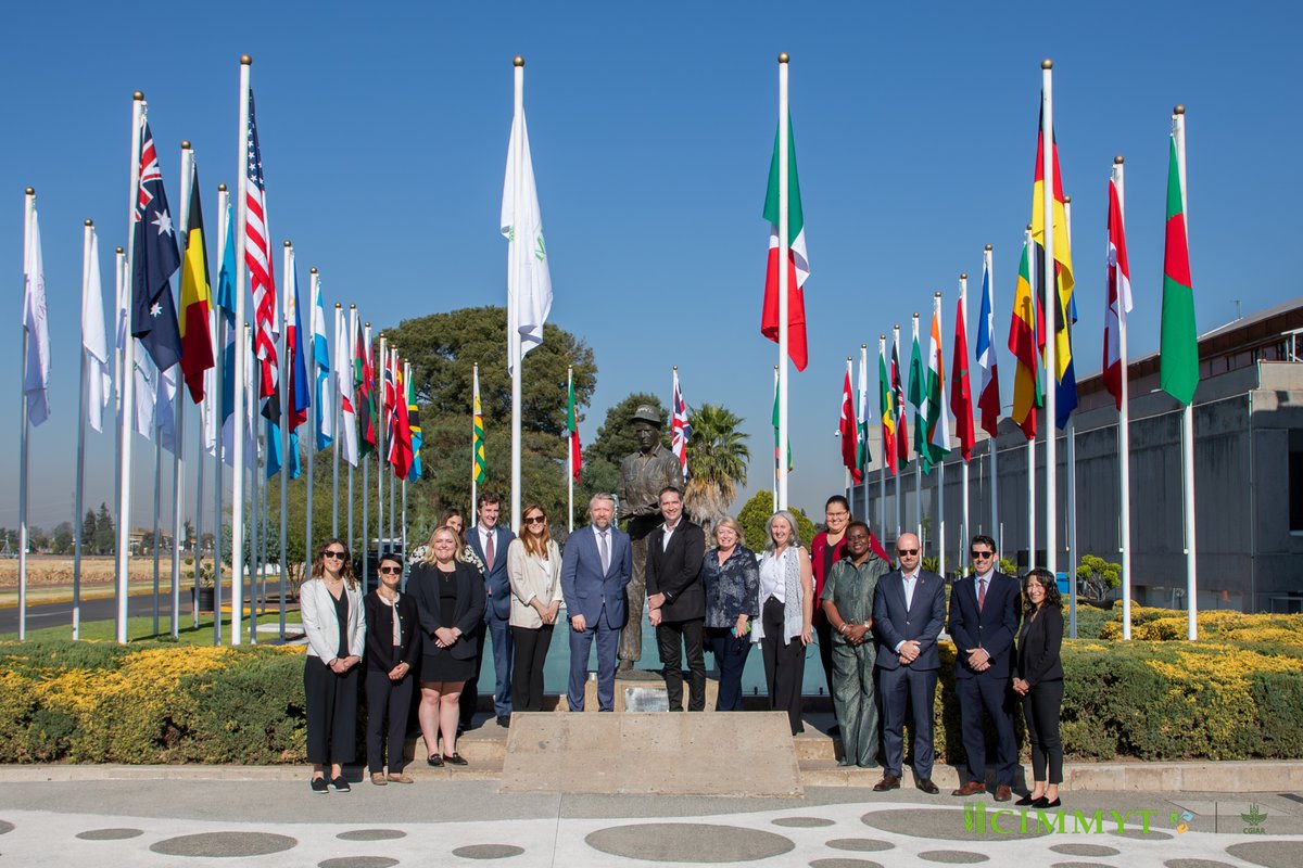 CIMMYT's tweet photo. $40M for the future of food 🌍

CIMMYT welcomes renewed U.S. Government support to strengthen climate-resilient crops, digital ag tools &amp; crop early warning systems.

🔗Read more: https://t.co/7ZLxlx0hEF
Donate: https://t.co/XiTyYTuqee

@StateDept https://t.co/JZGzZi1xqb