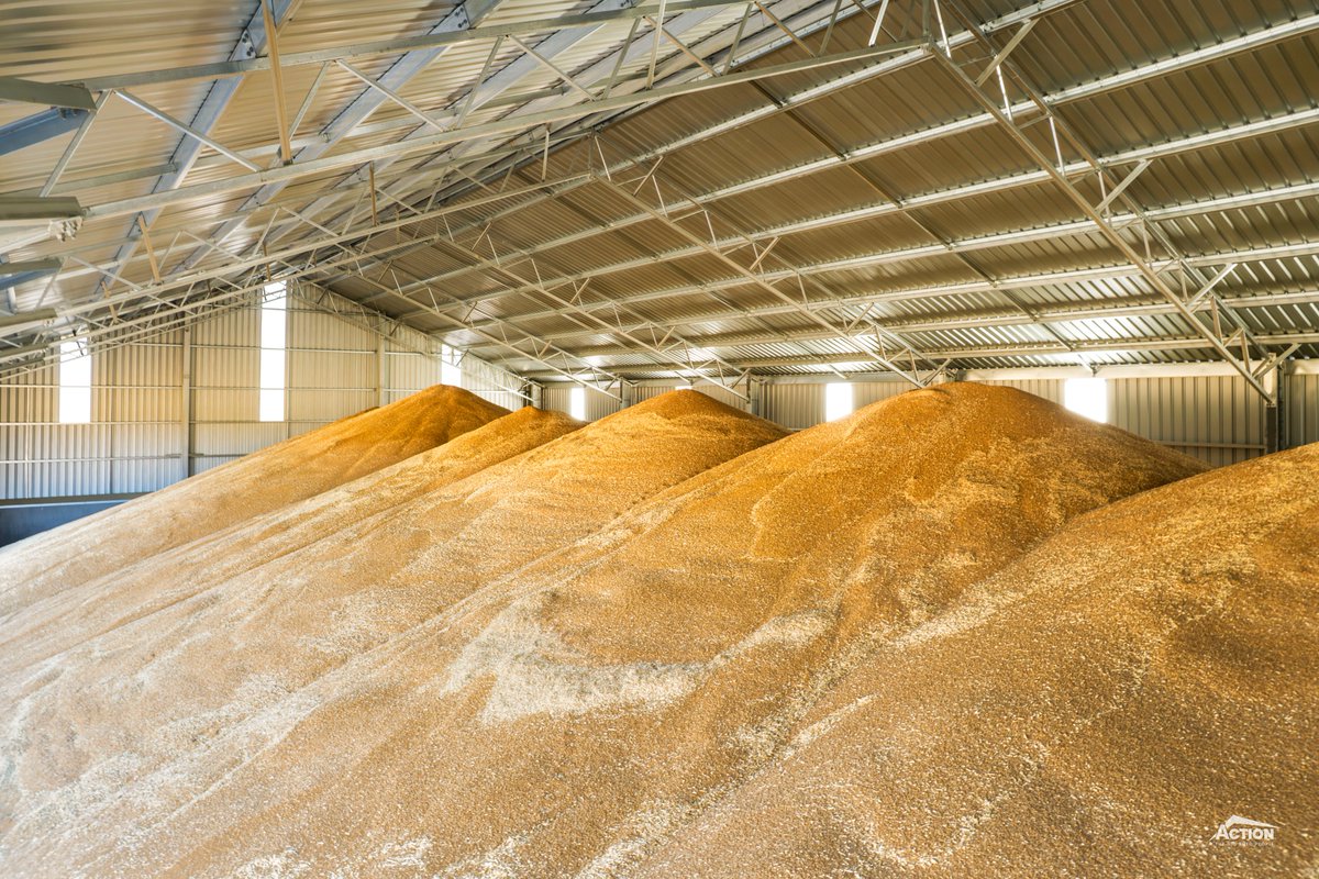 Action Steel tweet media