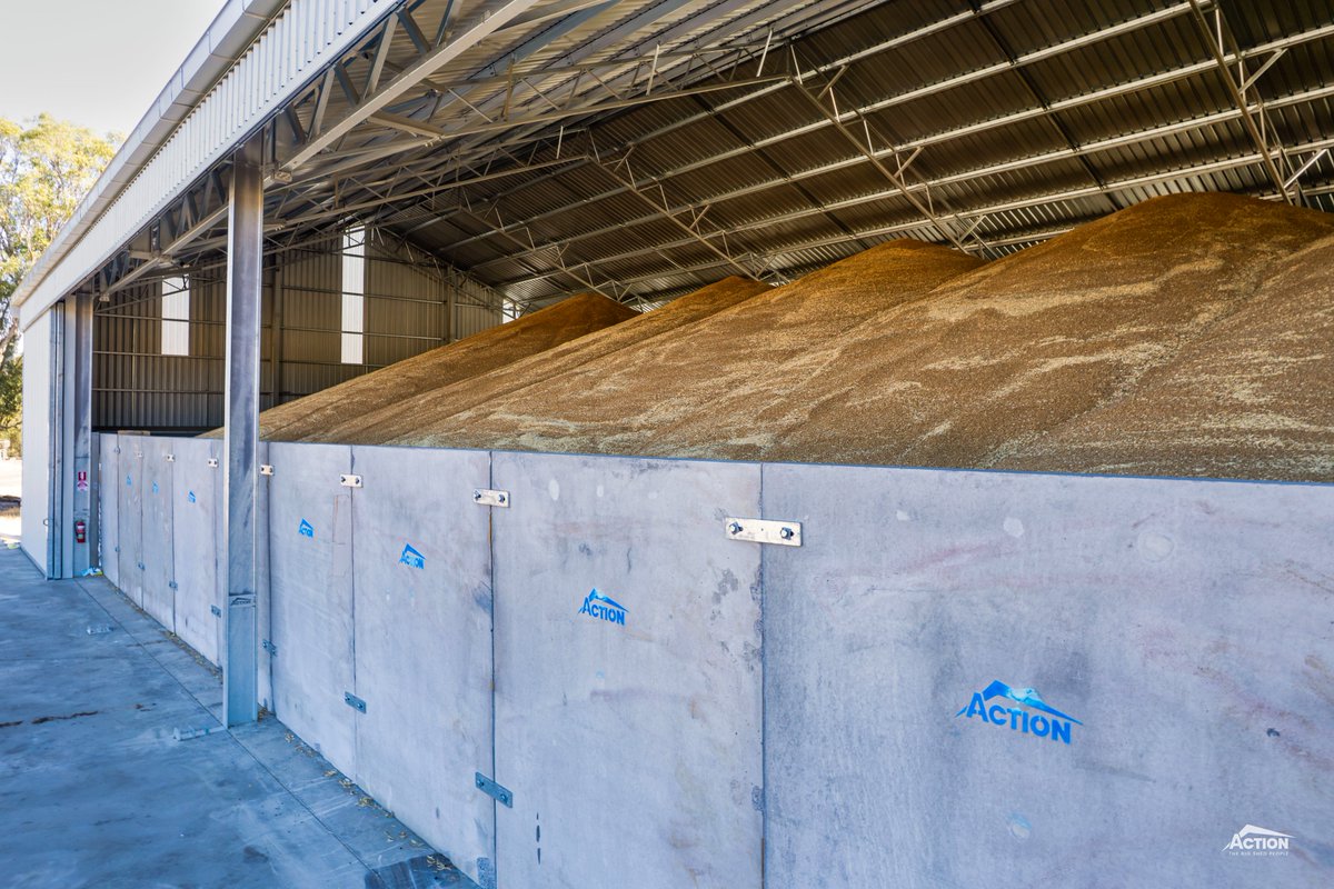 Action Steel tweet media