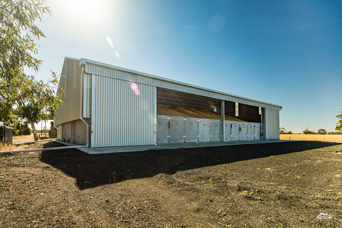 Action Steel tweet media