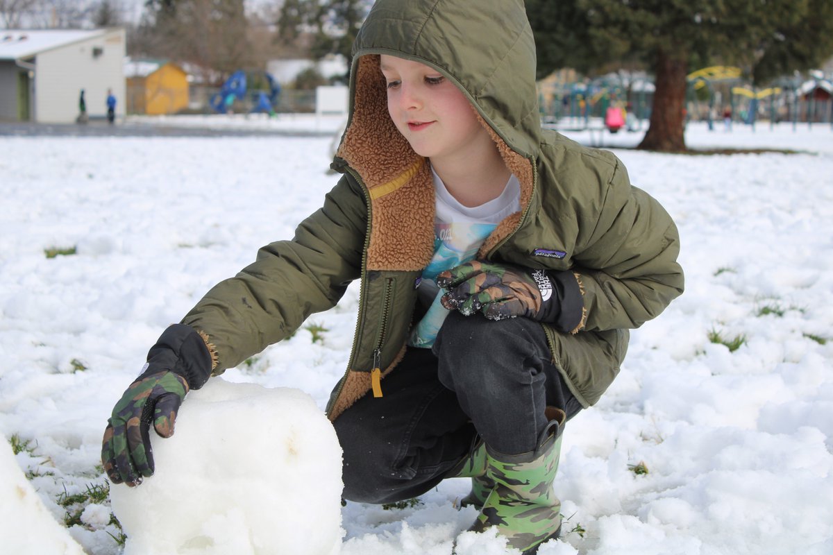 Phoenix-Talent SD4 tweet media