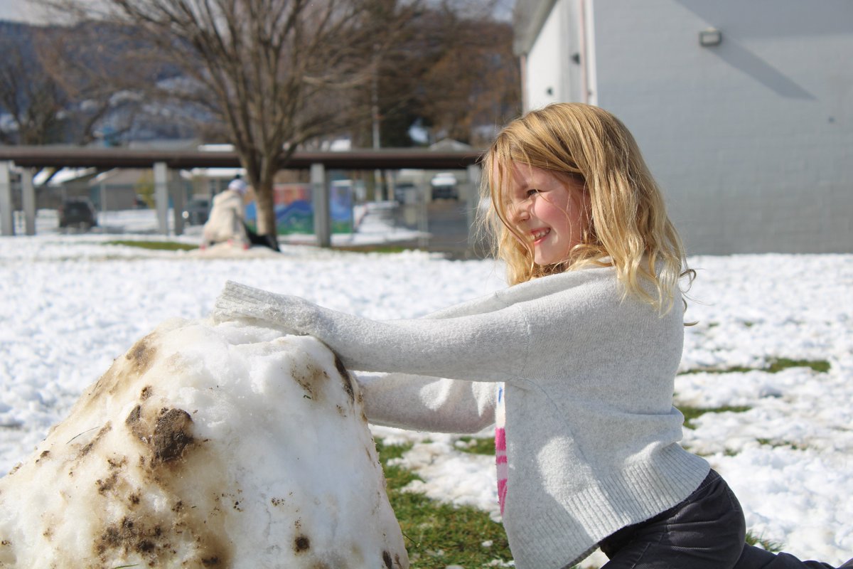 Phoenix-Talent SD4 tweet media