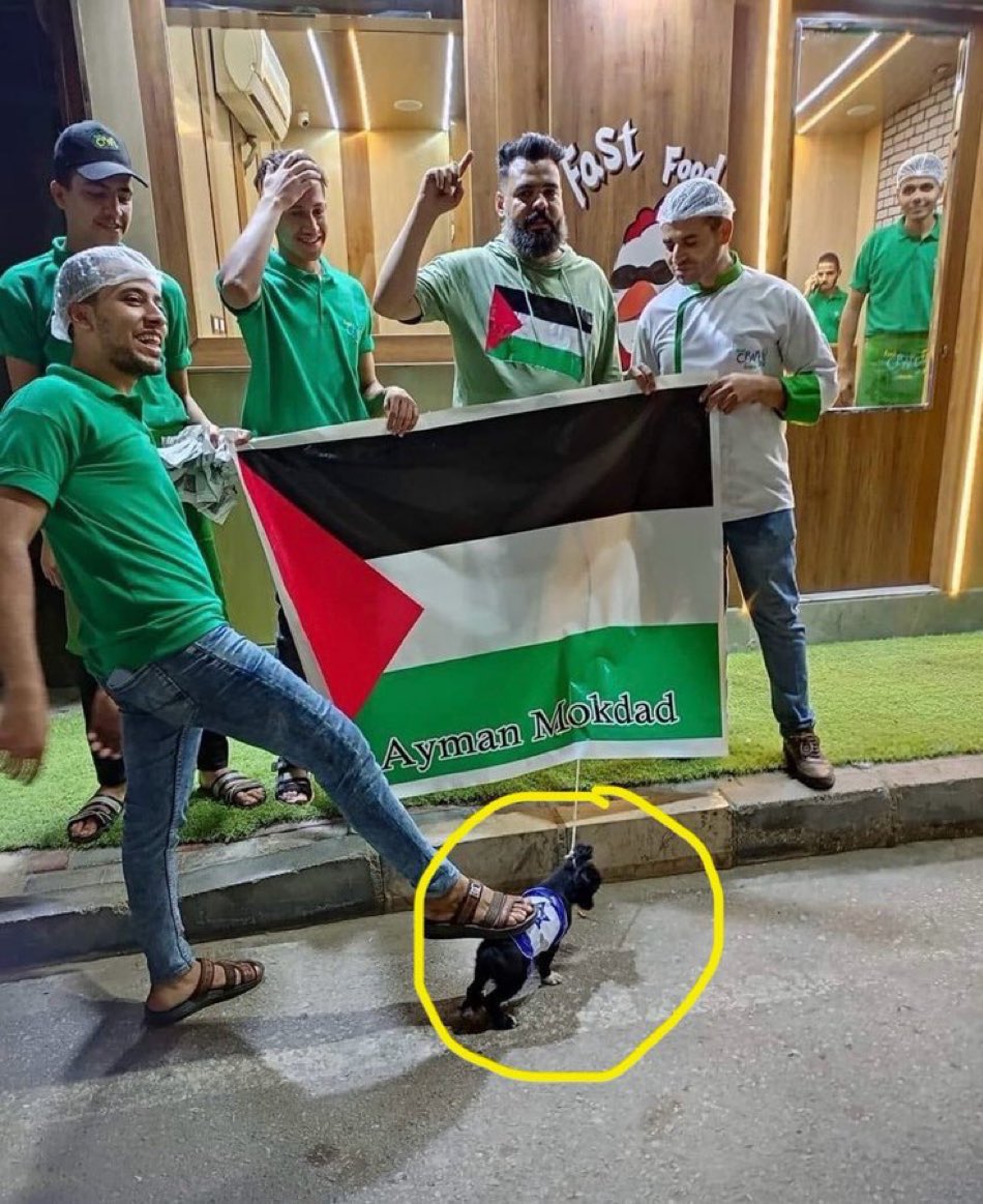 Panizachi's tweet photo. If you wanna see how civilized a nation really is, just look at how they treat animals. 

Persians🇮🇷                            Muslims🇵🇸 https://t.co/96ijY4xOi4