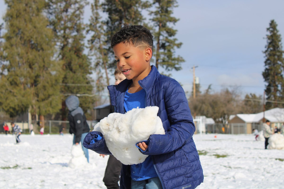 Phoenix-Talent SD4 tweet media