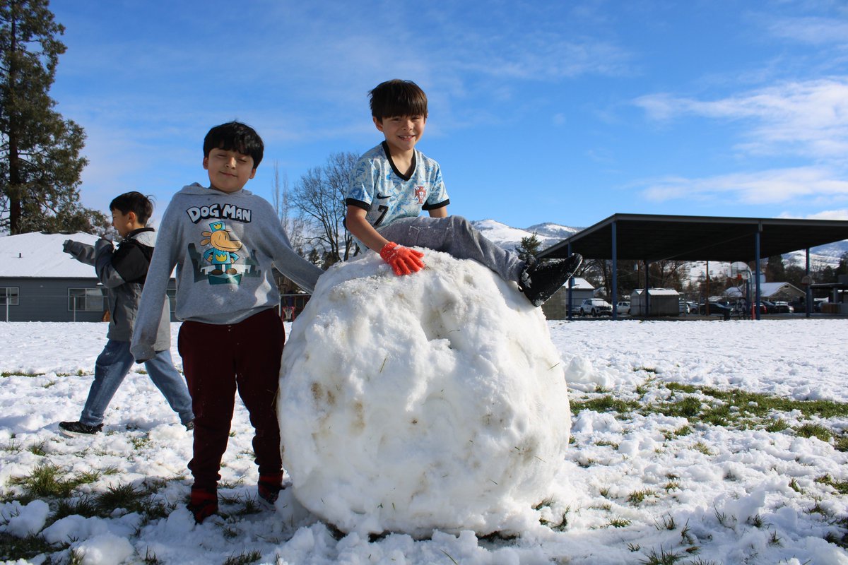 Phoenix-Talent SD4 tweet media