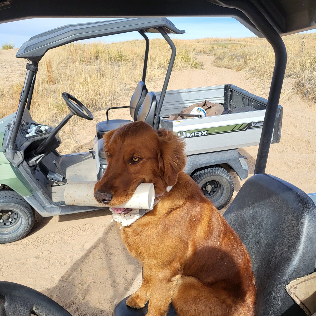 Cordell Walker tweet media