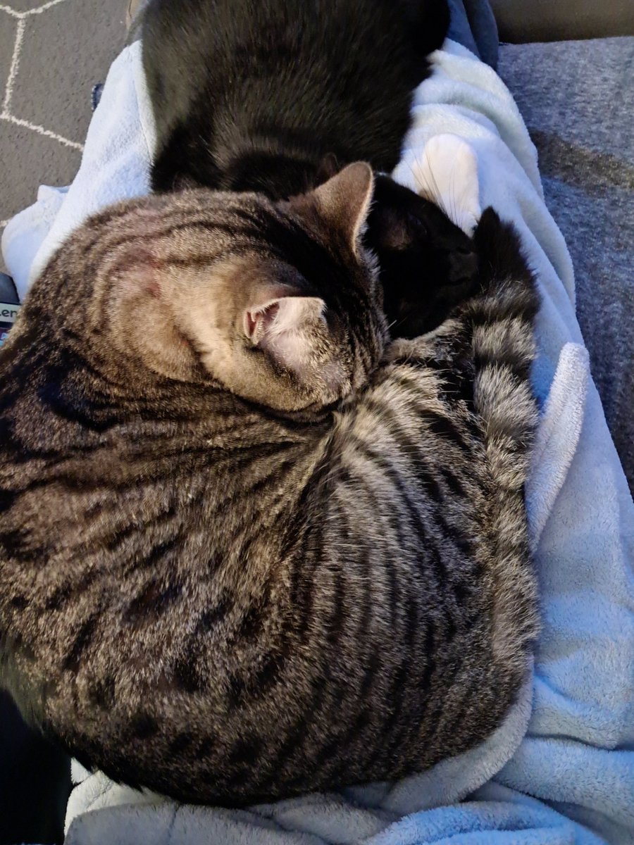 L.A. Myles tweet media