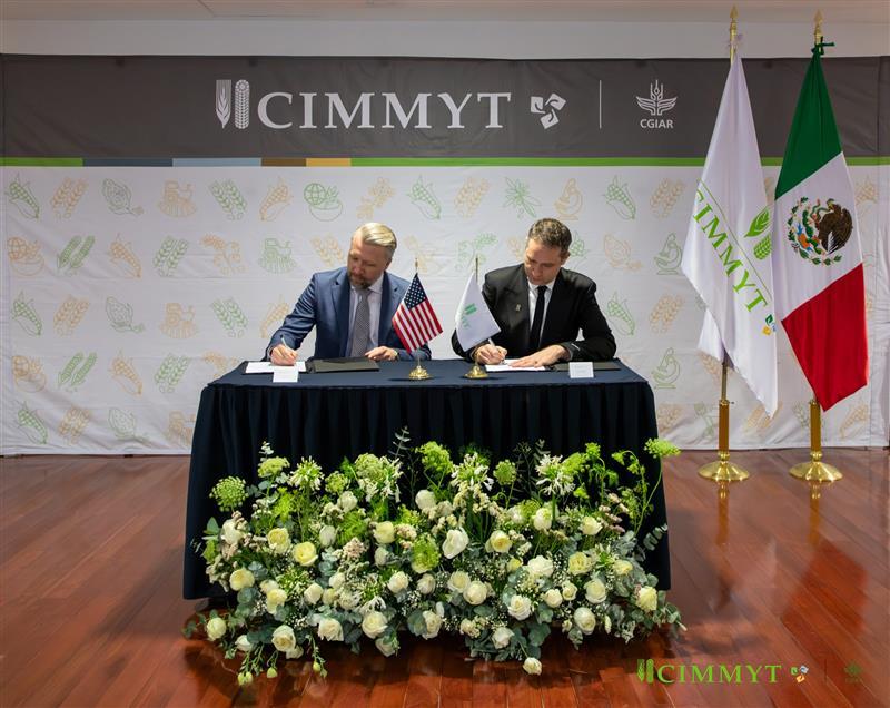 Bram Govaerts CIMMYT tweet media