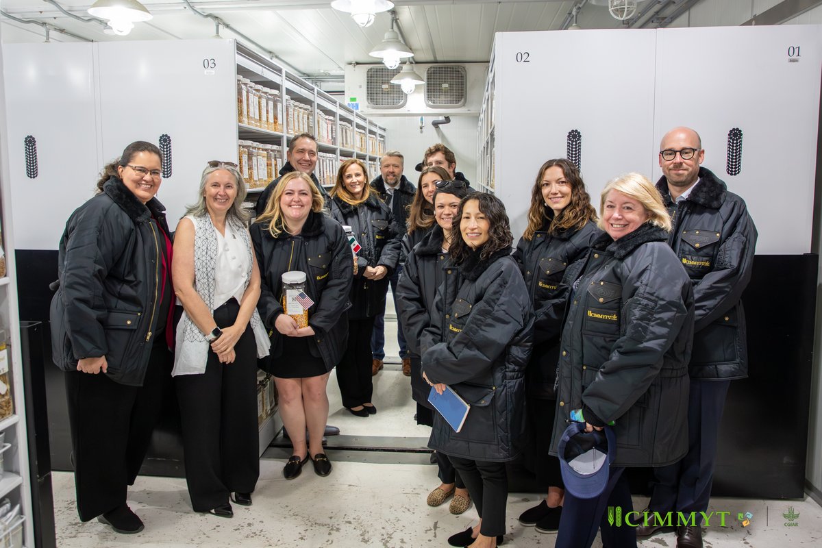 Bram Govaerts CIMMYT tweet media