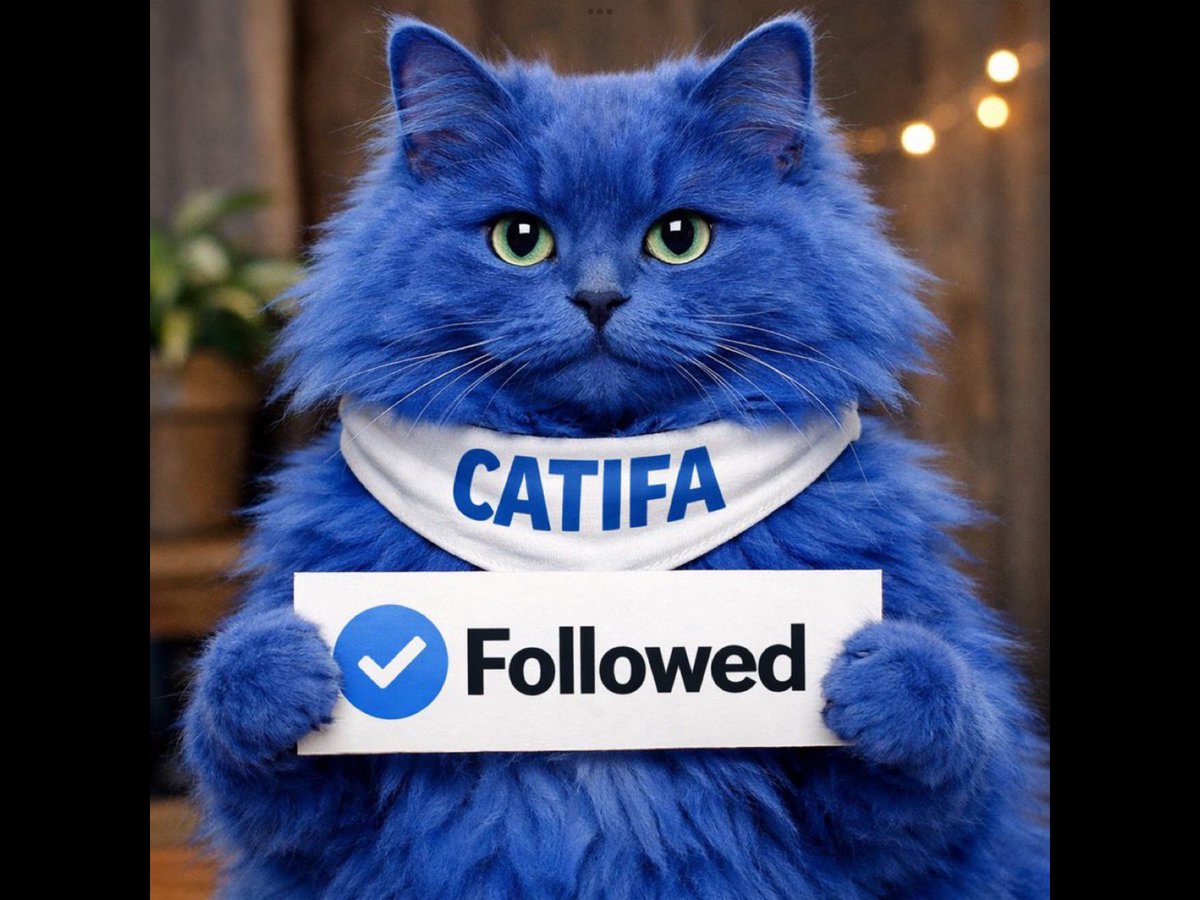 JacquelinaTucci's tweet image. #GVerse #BlueToTheCore #CATifa 
Thanks @gmf1369 + @maestramarney 💞Appreciate you 
Following and RP 
S T R O N G E R  T O G E T H ER 🙌🏼💥💯🎯😻🩵🐾

#TogetherWeRise #LetsGo