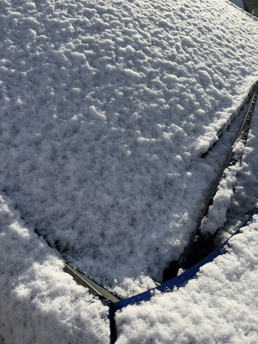 出勤しようかとしたら、まさかの雪でした。