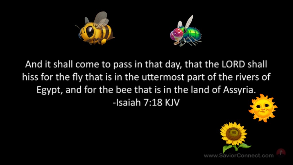 Karlj33ttheonly's tweet photo. Hopefully🙏

1. The modern Assyrian🐝 has studied/learned from the mistakes of Sennacherib.

2. The Egyptians🪰understand how foolish it is to challenge the God of Israel.

3. The Arabs learn from their last prophet's mistakes,&amp; that they no longer view homi/suicide as honorable. https://t.co/wfb7aABa8A