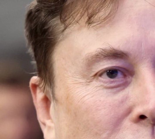 Not Elon Musk tweet media