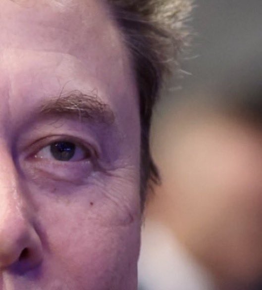 Not Elon Musk tweet media