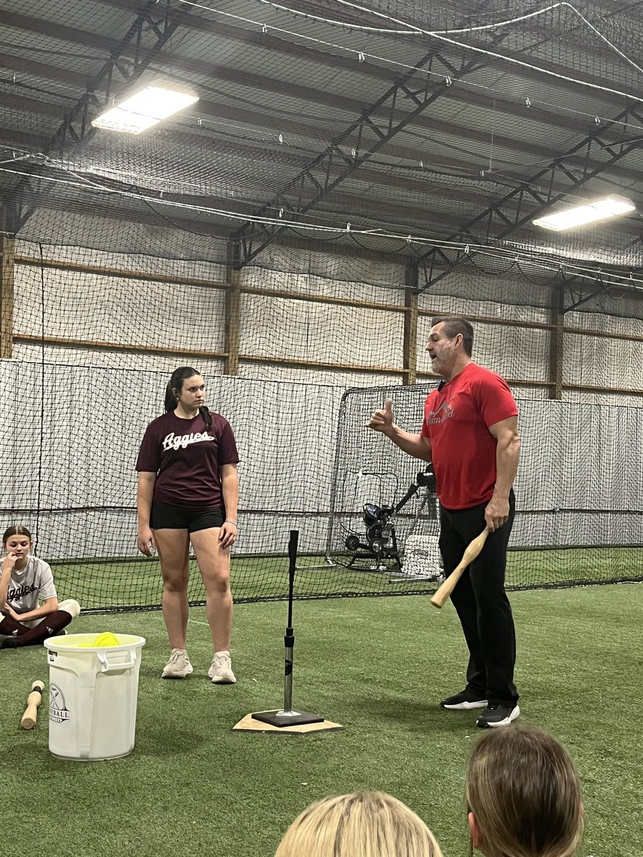 Hamilton Softball tweet media