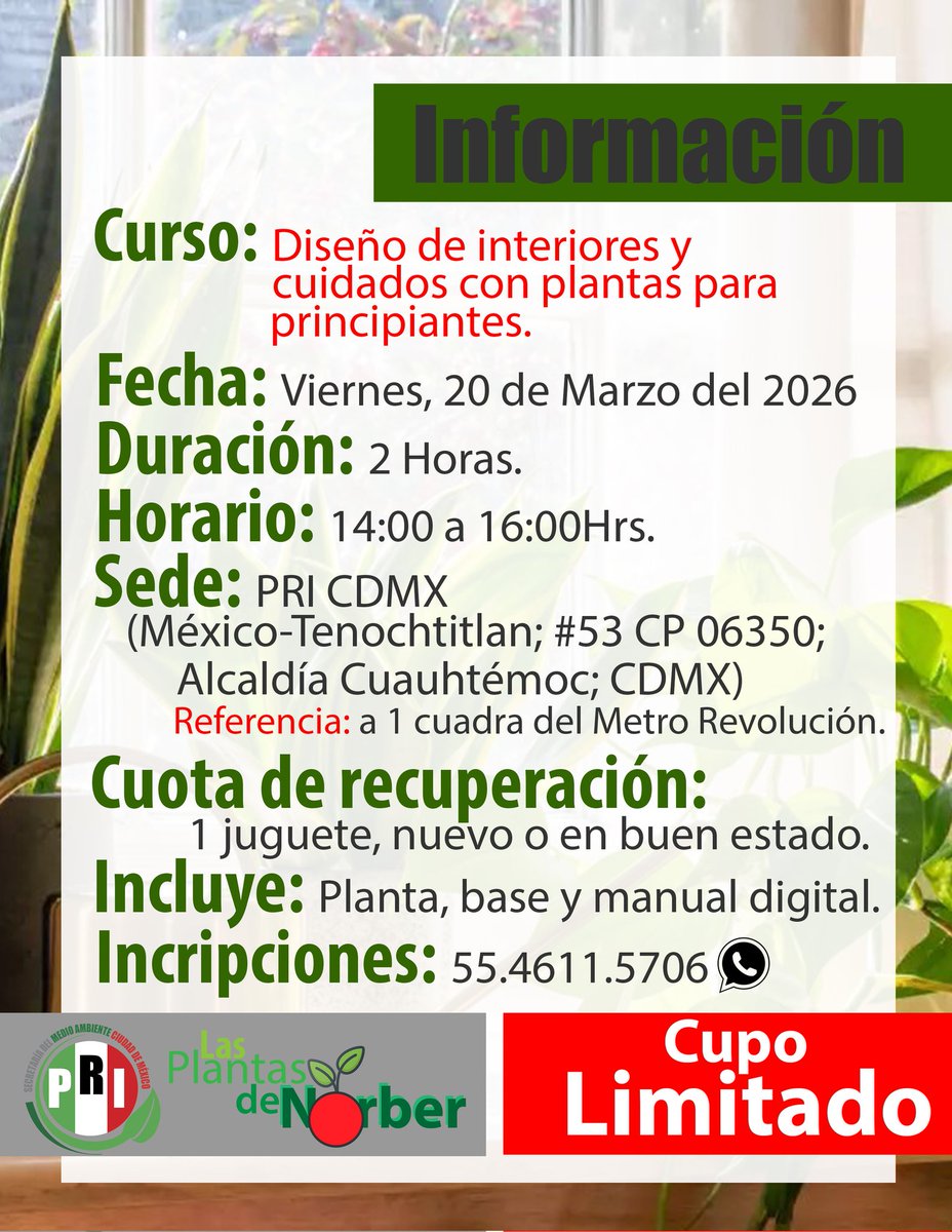 "Plantas hoy y estarás sembrando vida" 

Próximo taller 20 de #Marzo 
#PlantLovers #TallerDePlantas #VidaVerde