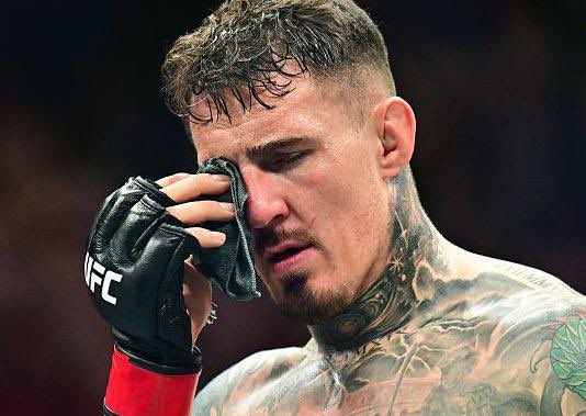 Dovy🔌 tweet media