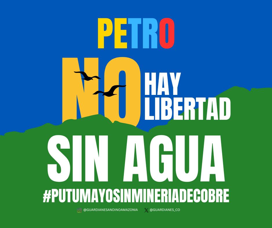 Guardianes_CO's tweet photo. @petrogustavo @MarnIris @PalmaEdwin @IreneVelezT @infopresidencia ustedes también son guardianes de la Andinoamazonía. 🌱¡Cúmplanle al Putumayo! Por un territorio libre de minería y sano para la vida. 
¡Actúen ahora! https://t.co/tg6jiQHNXh