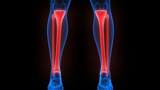 kapten__monyet's tweet image. imam : "alif lam mim"
jemaah :