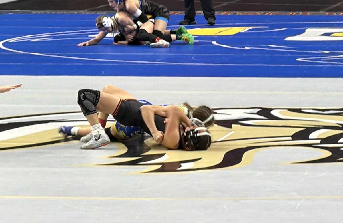 SewardBlueJays tweet media