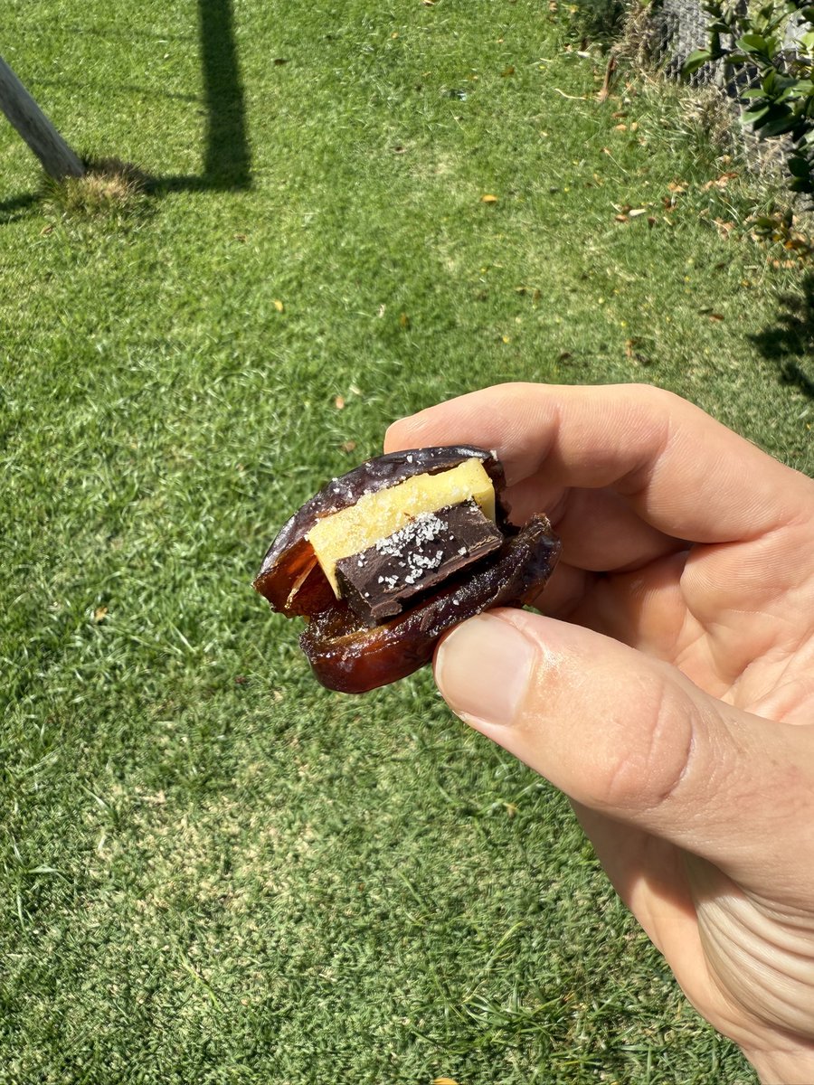 Natures candy

Date + butter + dark chocolate + sea salt

Delicious micronutrient bomb